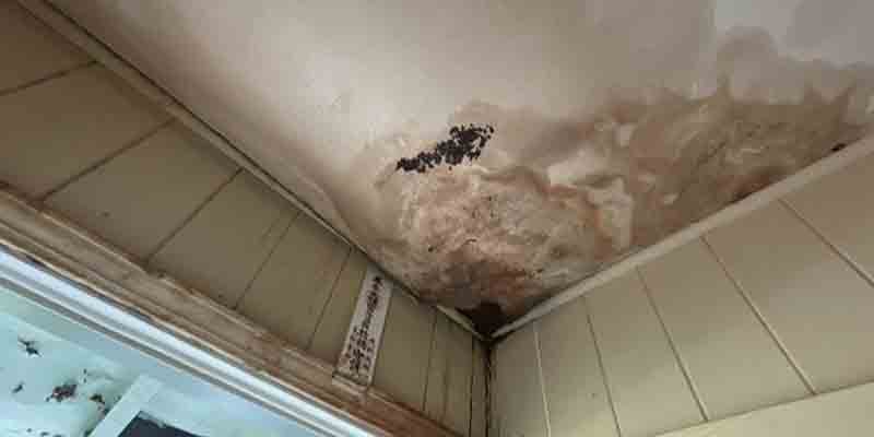 water-damage
