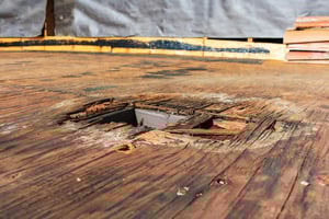 Wood rot 