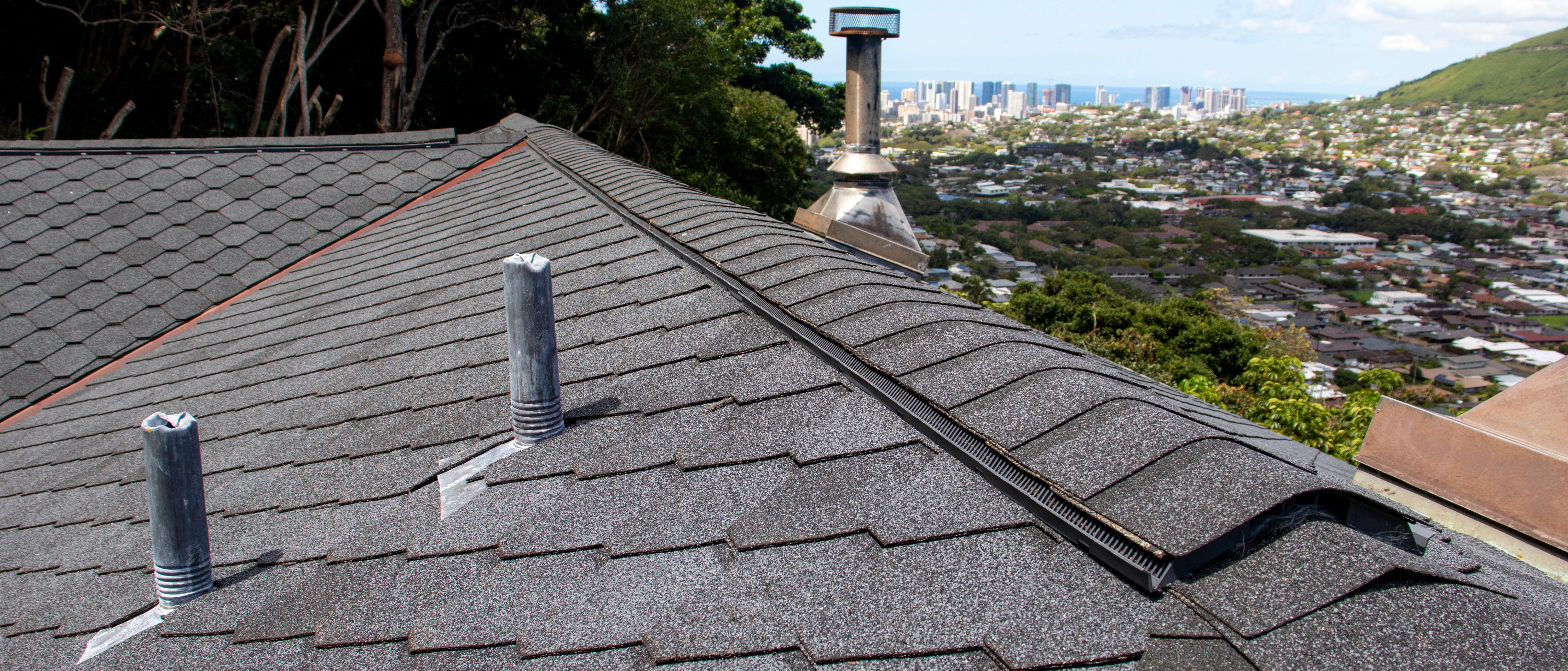 Wendy Lagareta - Ridge Vent (Blog Crop)