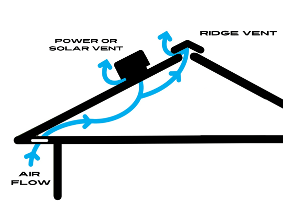 ridge vent infograph
