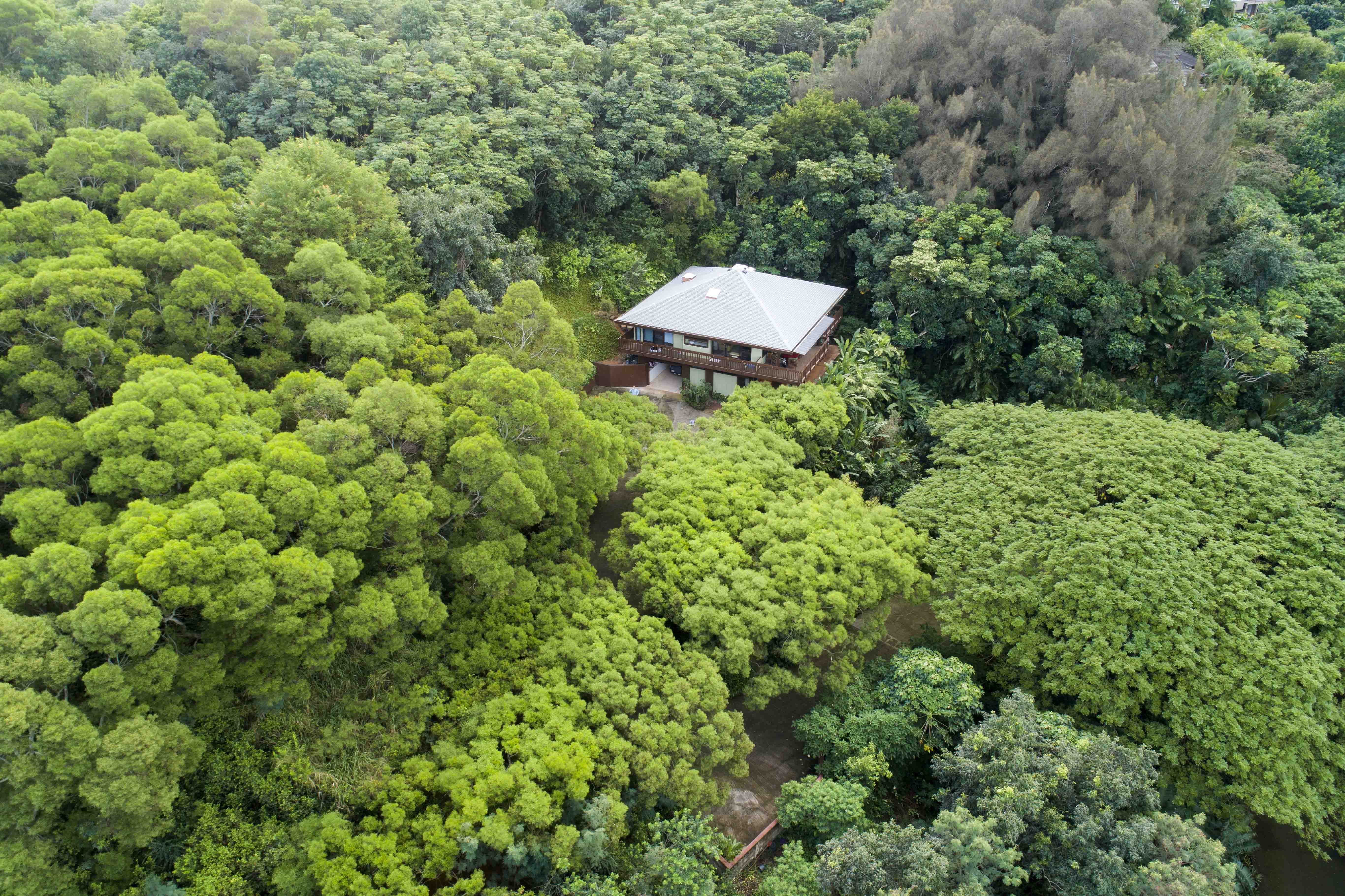Kaneohe Roofing Project
