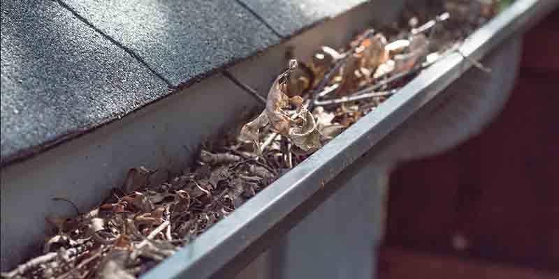 clogged-gutters