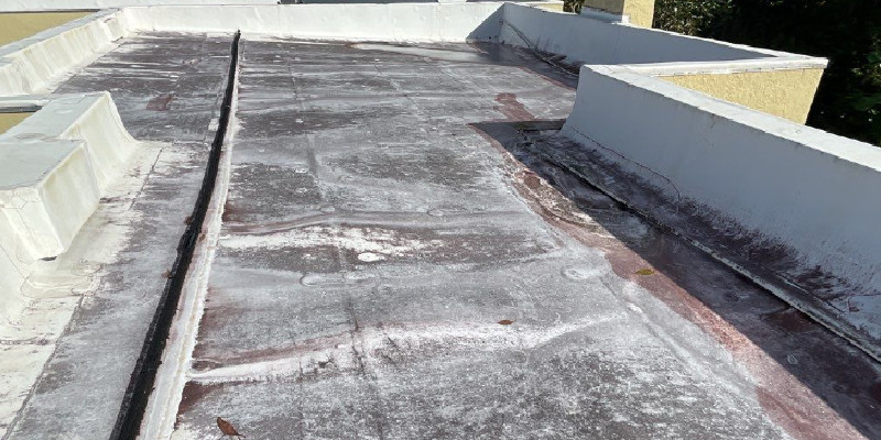 roof-mildew